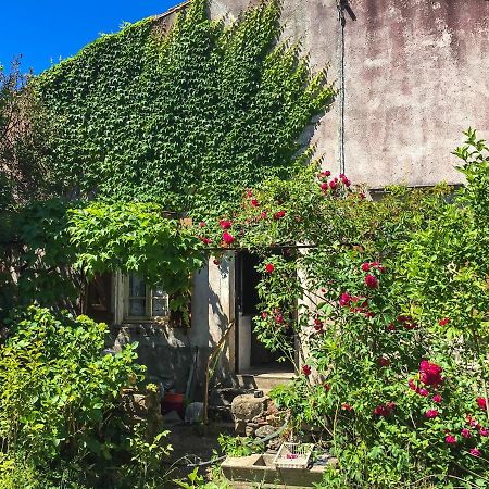 Le Mas Du Figuier, Maison De Vacances Le Bousquet-d'Orb Εξωτερικό φωτογραφία