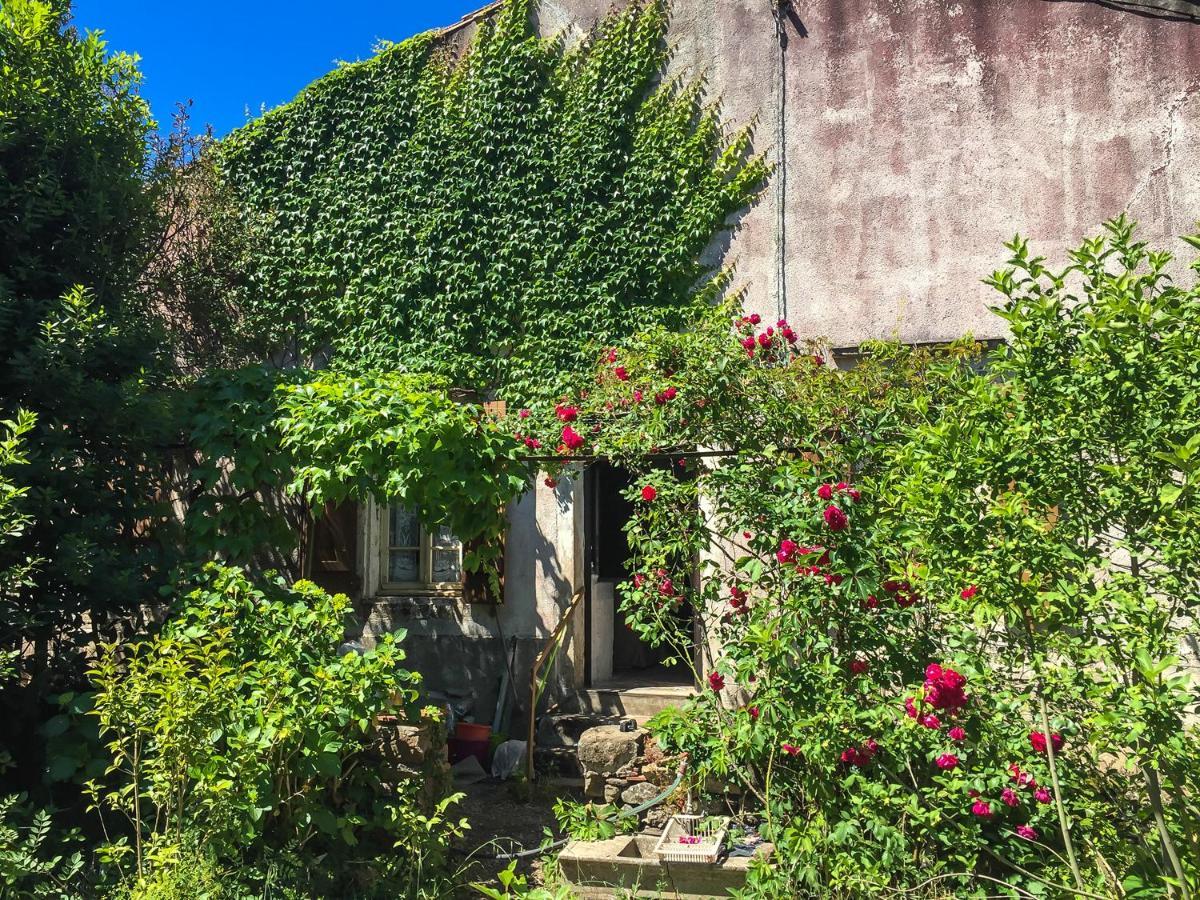Le Mas Du Figuier, Maison De Vacances Le Bousquet-d'Orb Εξωτερικό φωτογραφία