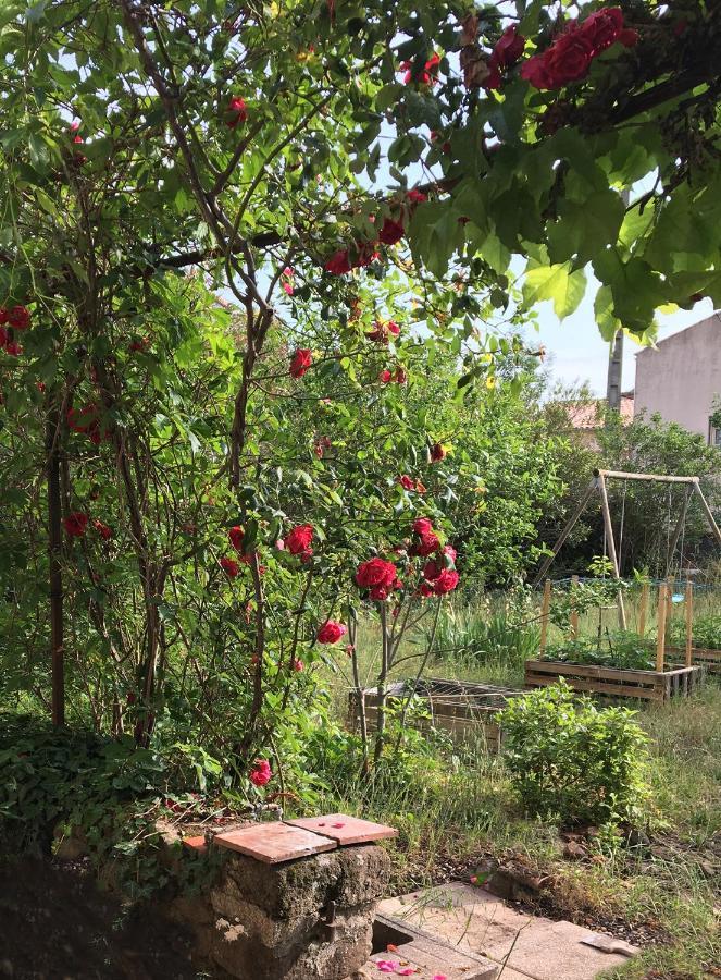 Le Mas Du Figuier, Maison De Vacances Le Bousquet-d'Orb Εξωτερικό φωτογραφία
